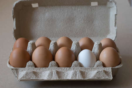 Eleven brown chicken eggs and one white egg in a cardboard container