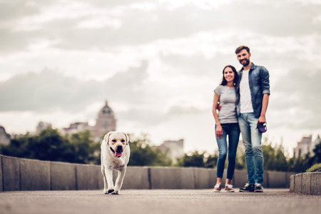 Romantic couple is on a walk in the city with their dog labrador. Beautiful young woman and handsome man are having fun outdoors with golden retriever labrador.の写真素材