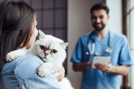 Handsome doctor veterinarian at vet clinic is examining cute cat while his owner is standing nearby...