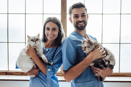Handsome doctor veterinarian and his attractive assistant at vet clinic are holding cute cats on hands, smiling and looking at camera.の写真素材