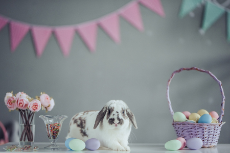 Happy Easter! Cute bunny is sitting on the table with basket full of colorful painted Easter eggs nearby.の写真素材