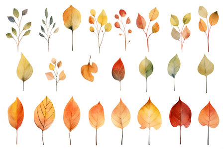 Watercolor autumn leaves set. Hand painted leaves isolated on white background.の素材