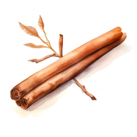 Cinnamon sticks isolated on white background. Watercolor hand drawn illustrationの素材