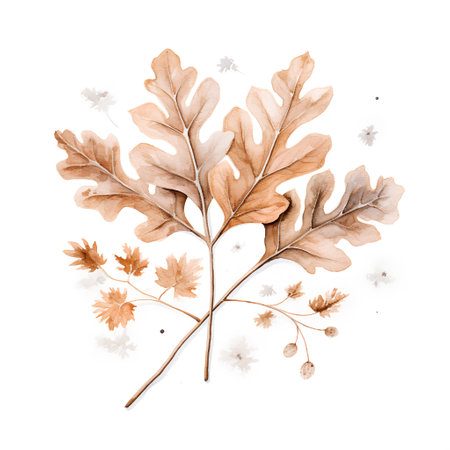 Watercolor oak branch with leaves isolated on white background. Hand painted autumn illustration.の素材