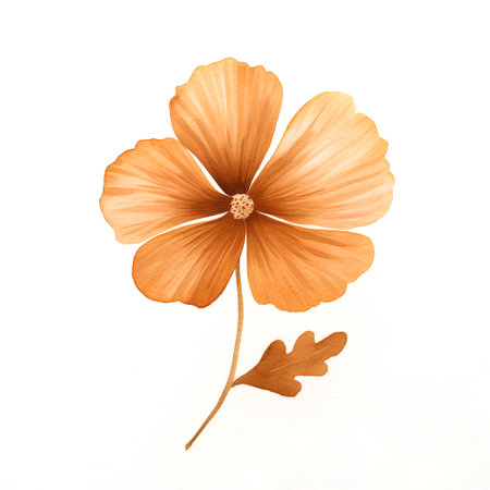 Orange hibiscus flower isolated on white background. Watercolor illustration.の素材