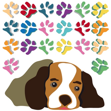Pet Footprints  Brown puppy のイラスト素材