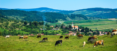 View of Crit village in Transylvaniaの写真素材