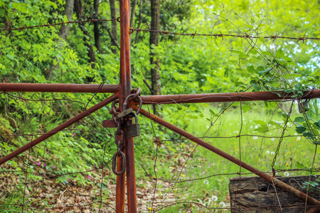 Rusty Old Locked Gate in Natureの写真素材