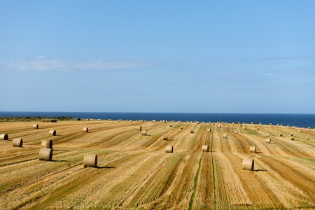 Hay Rolls in fields after harvest looking out to seaの写真素材