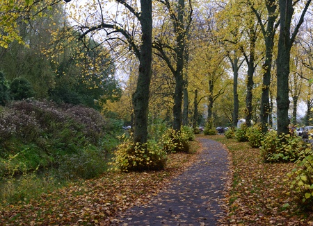 Footpath in Autumnの写真素材