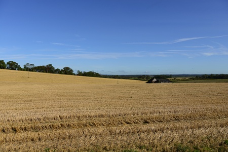 View across a harvested farm field on a sunny dayの写真素材