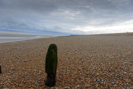 Submerged posts on beachの写真素材