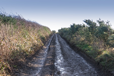 Muddy Track in the countrysideの写真素材