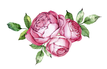 hand drawn drawn watercolor element design element to create postcards, logos, corporate identity and print productsの写真素材
