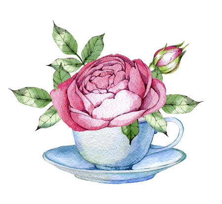 hand drawn drawn watercolor element design element to create postcards, logos, corporate identity and print productsの写真素材