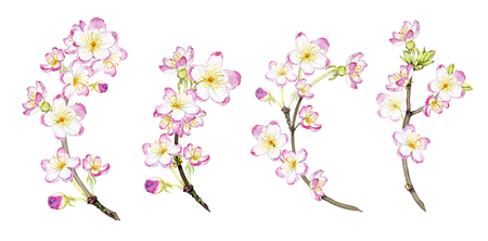 design element for printed products, corporate identity, postcardsの写真素材