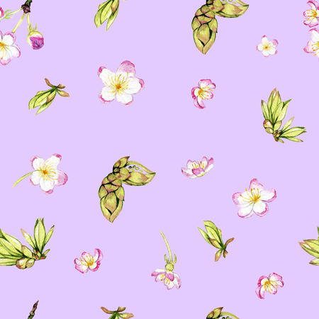 hand drawn watercolor spring patternの写真素材