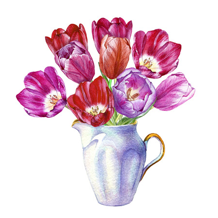 Hand drawn watercolor bouquet of colorful tulips in a porcelain vase on white backgroundの写真素材