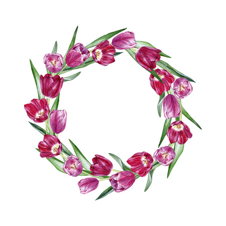 Hand drawn watercolor a wreath of tulips on white backgroundの写真素材