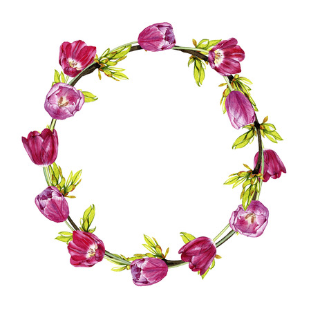 Hand drawn watercolor a wreath of tulips on white backgroundの写真素材