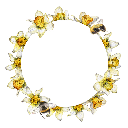 hand painted watercolor round frame made from the flowers of Narcissus and beesの写真素材