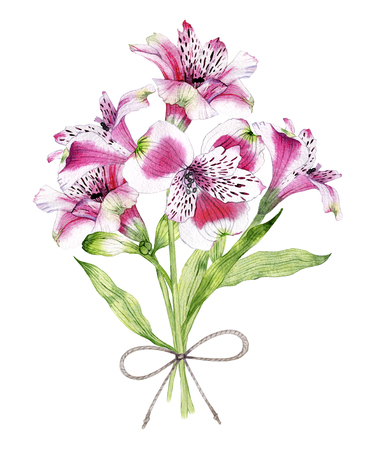 hand drawn watercolor bouquet of flowers of Alstroemeriaの写真素材
