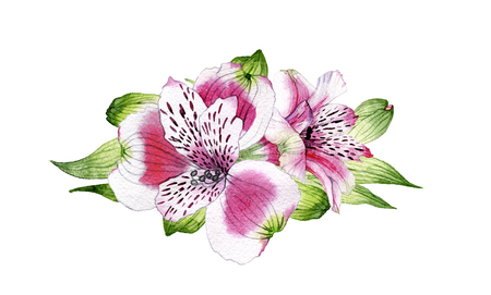 hand drawn watercolor bouquet of flowers of Alstroemeriaの写真素材