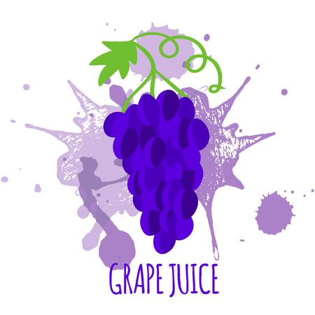 Vector illustration of bunch of grapes with text Grape Juice on watercolor splashes background for grapes juice package and label design, poster, print, shop decorationのイラスト素材