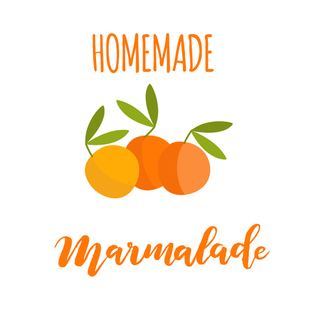 Vector illustration of three oranges with branches and leaves and hand lettering text Homemade Marmalade for package design, product design, poster, print, shop decoration, marketing, advertisingのイラスト素材