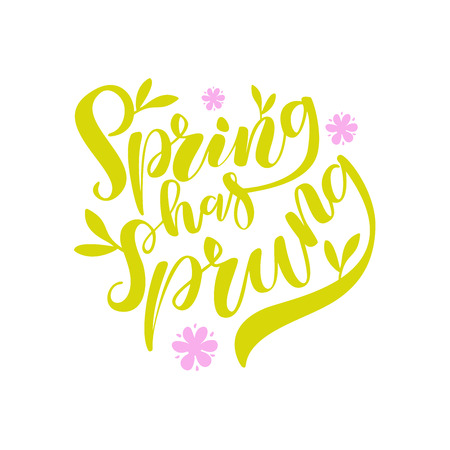 Vector illustration of hand drawn brush lettering quote Spring Has Sprung for card, print, poster, blog, banner, social media designのイラスト素材
