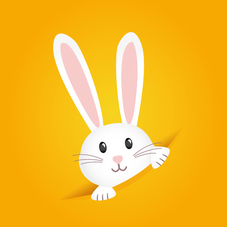 Cute bunnyのイラスト素材