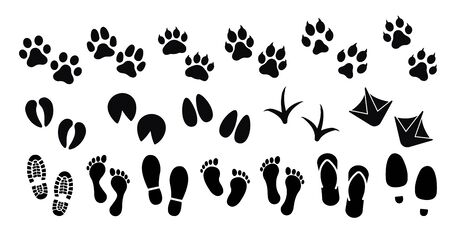 Dog ,cat and human paw print vector iconのイラスト素材