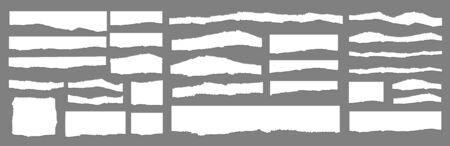 Torn paper set vector, layered. Vector illustrationのイラスト素材