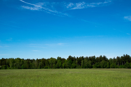 Forest, meadow, sky and cloudsの写真素材
