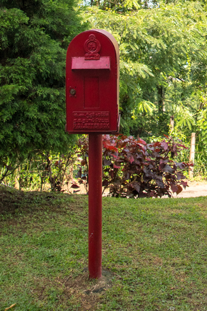 Red mailbox in the parkの写真素材