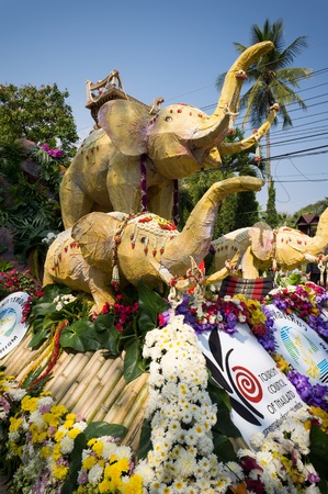 CHIANG MAI,THAILAND-FEB.3 : 37th Anniversary Chiang Mai Flower Festival, People are interested in coming to visit the annual Chiang Mai flower festival. on Feb.3, 2013 in Chiang Mai,Thailand.のeditorial素材