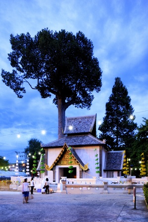 Chedi Luang temple : Chiang Mai Thailand.の写真素材