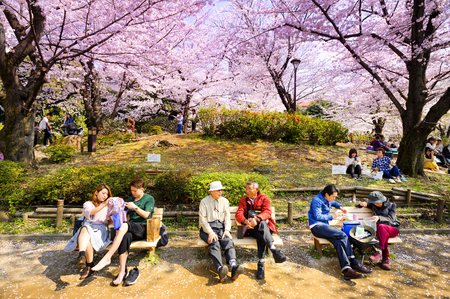 TOKYO JAPAN - MARCH 28, 2018 : Sumida park, Unidentified tourists visit the cherry blossom. this phenomenon only once year. It is attractive to both Japanese and foreigners, main activities are familyのeditorial素材