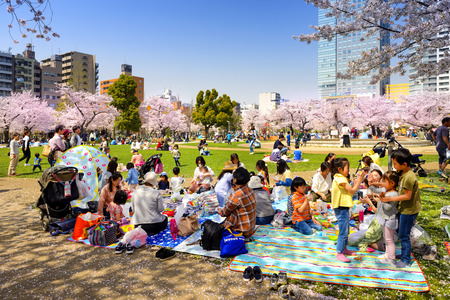 TOKYO JAPAN - MARCH 29, 2018 : Kinshi Park, Unidentified tourists visit the cherry blossom. this phenomenon only once year. It is attractive to both Japanese and foreigners, main activities are familyのeditorial素材