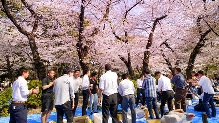 TOKYO JAPAN - MARCH 29, 2018 : Ueno Park, Unidentified tourists visit the cherry blossom. this...