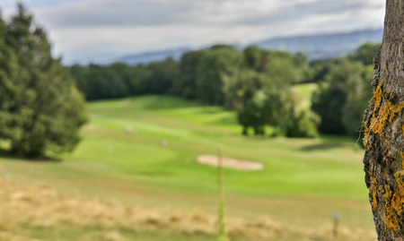 Golf fieldの写真素材