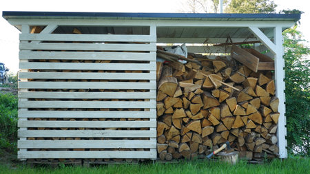 Pile of chopped firewood in front of a wooden shed.