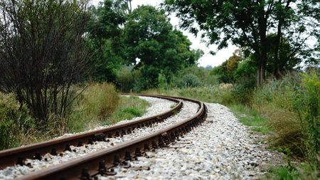 Railway tracks in the middle of a forest. selective focus.の写真素材
