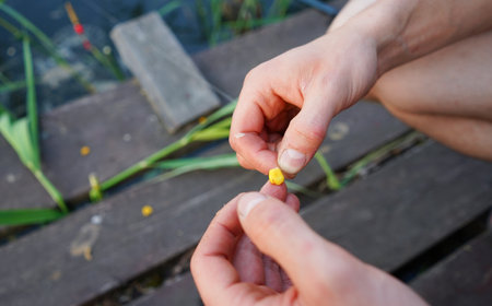 Person putting the corn on the fishing hook. Putting on the fishing baits. Fishin in summer.の写真素材