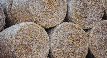 Bales on the field. Hay balls.の写真素材