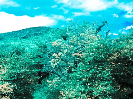 Blue, green precious の写真素材