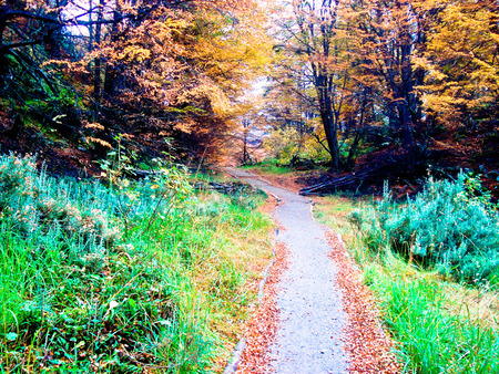 The South Road の写真素材