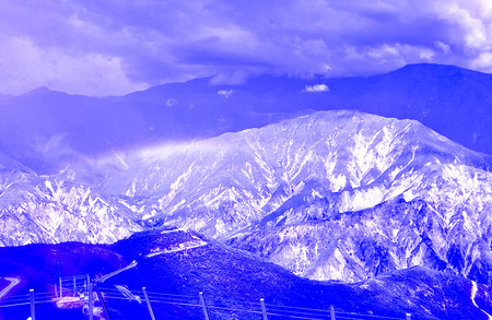 Radiography of nature.の写真素材