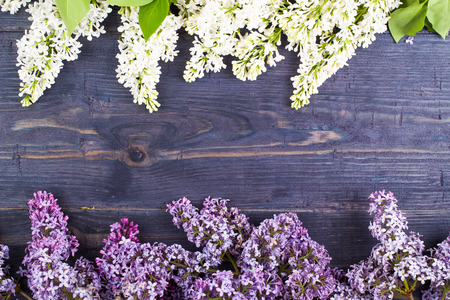 Lilac the top view on a tableの写真素材
