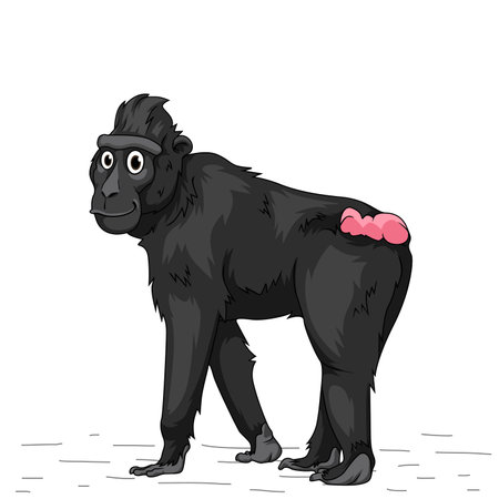 Yaki Cartoon. Yaki Cartoon illustration. wildlife animal isolated. Animal illustration collection. Jaguar Cartoon characterのイラスト素材